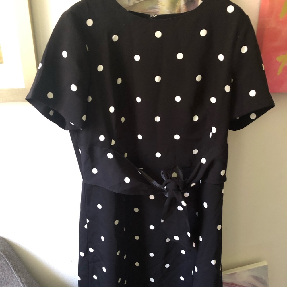 Polka Dot front tie dress